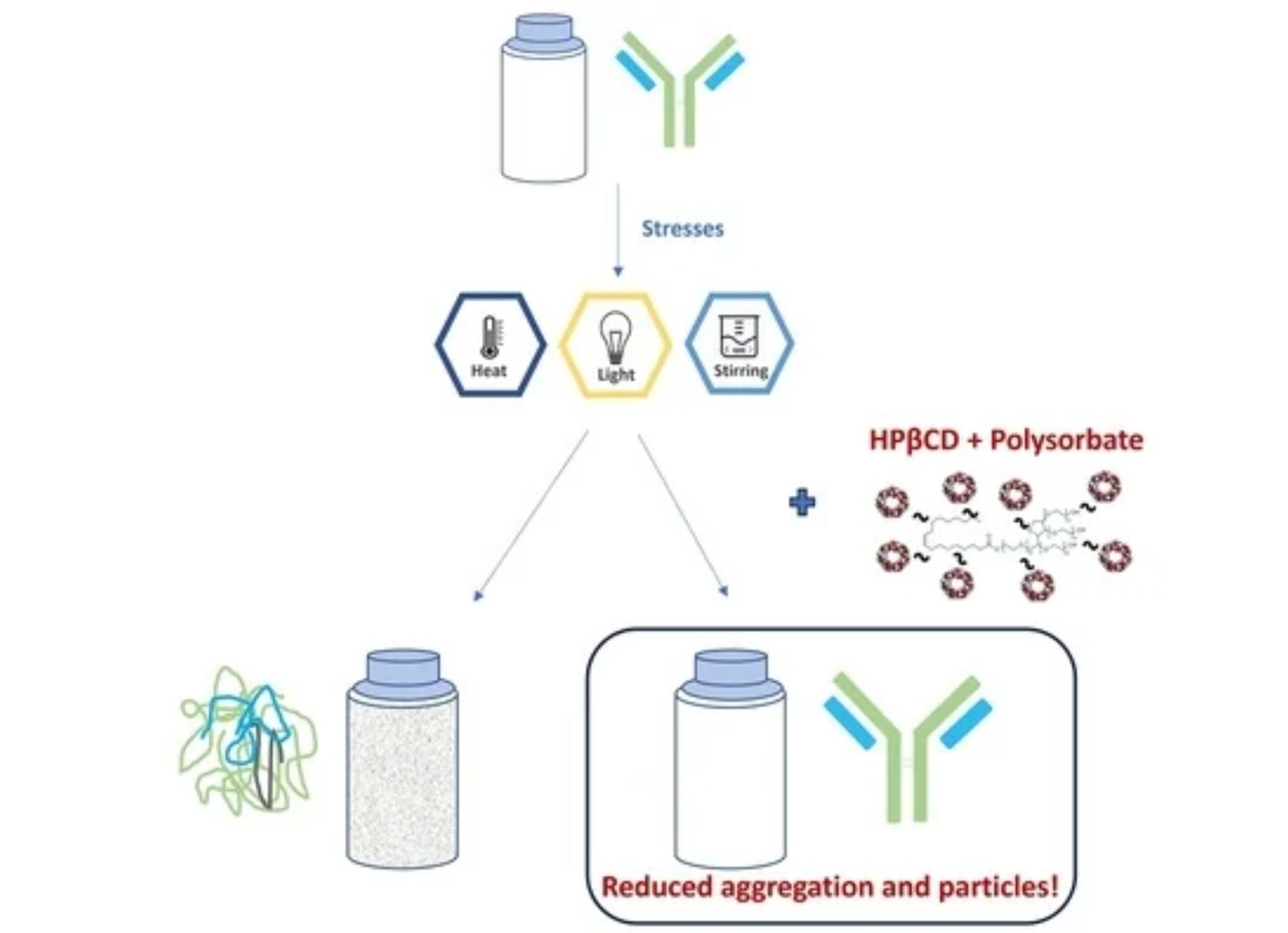 Investigation on the Combined Effect of Hydroxypropyl Beta-Cyclodextrin (HPβCD) and Polysorbate in Monoclonal Antibody Formulation