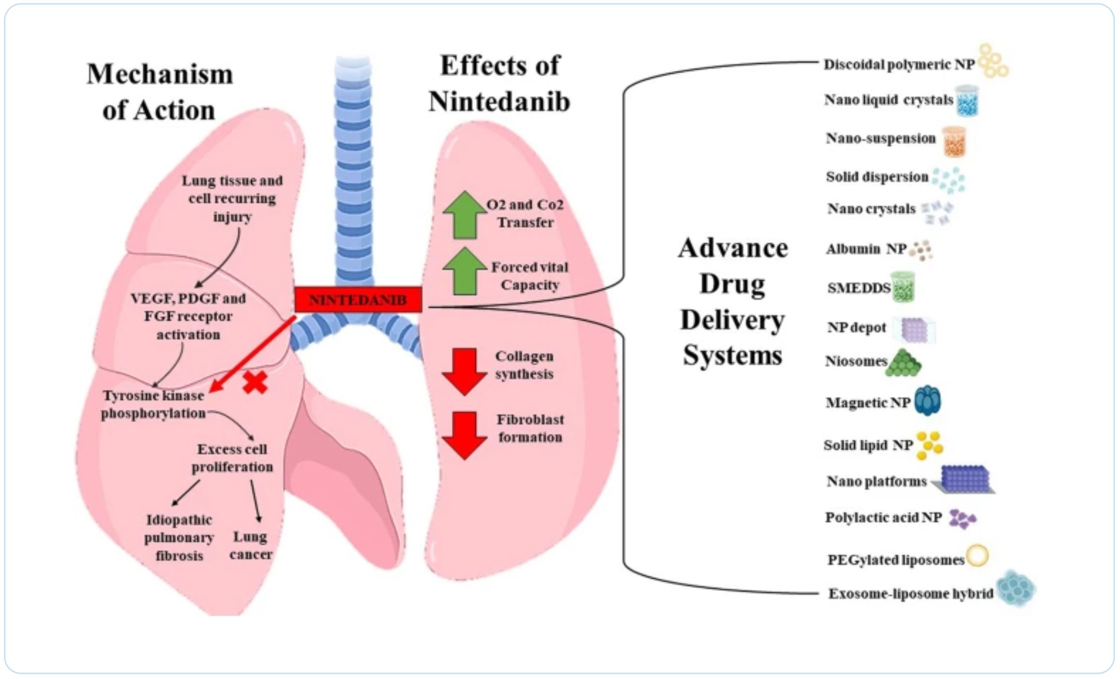 Advanced Delivery Strategies of Nintedanib for Lung Disorders and Beyond
