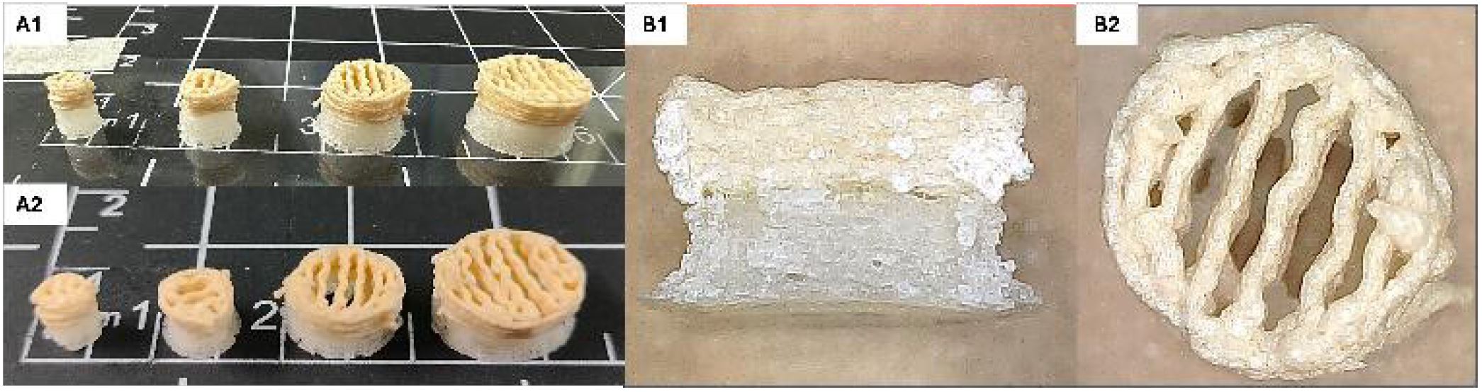 3D Printing of Tailored Veterinary Dual-Release Tablets