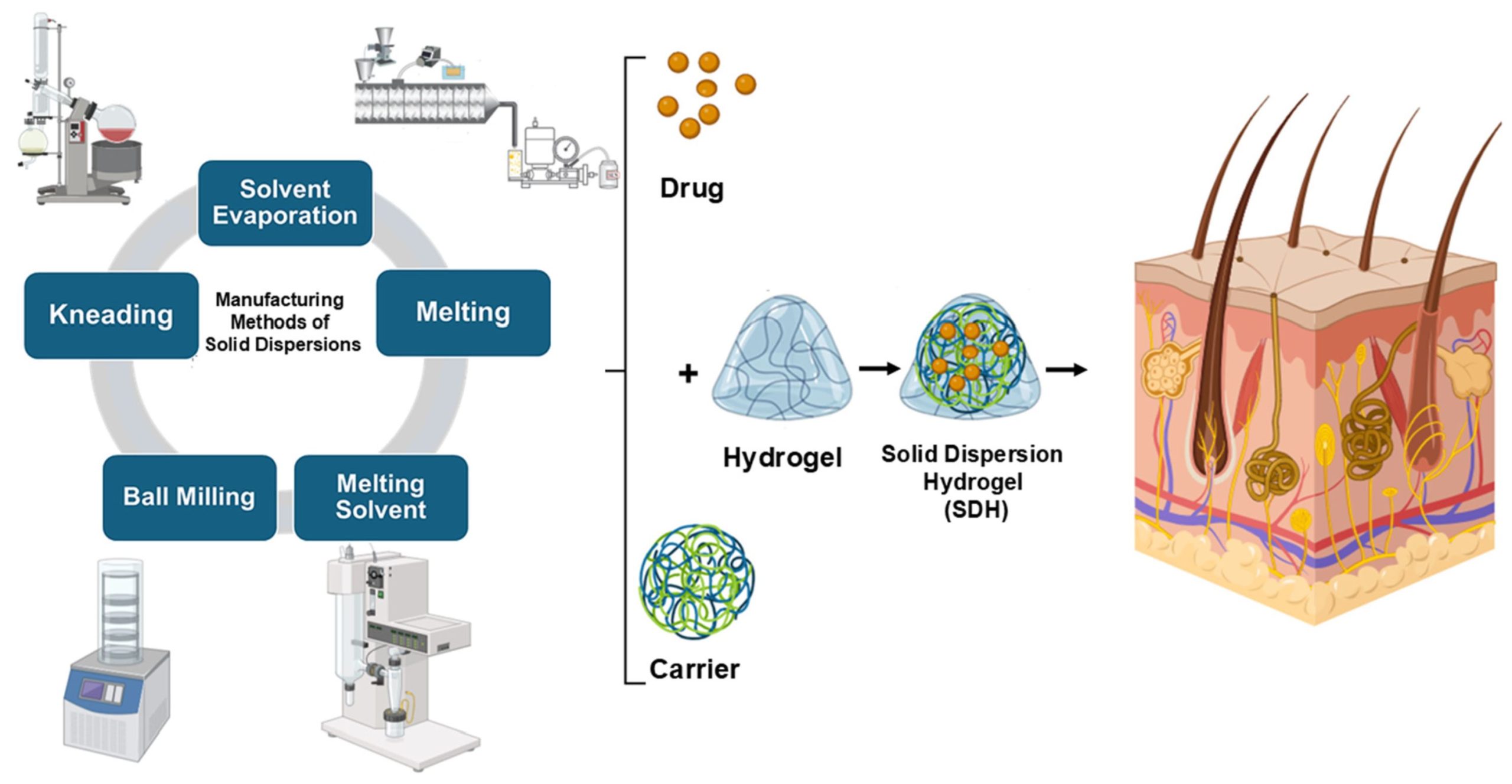 A Mini-Review on Enhancing Solubility in Topical Hydrogel Formulations Using Solid Dispersion Technology for Poorly Water-Soluble Drugs