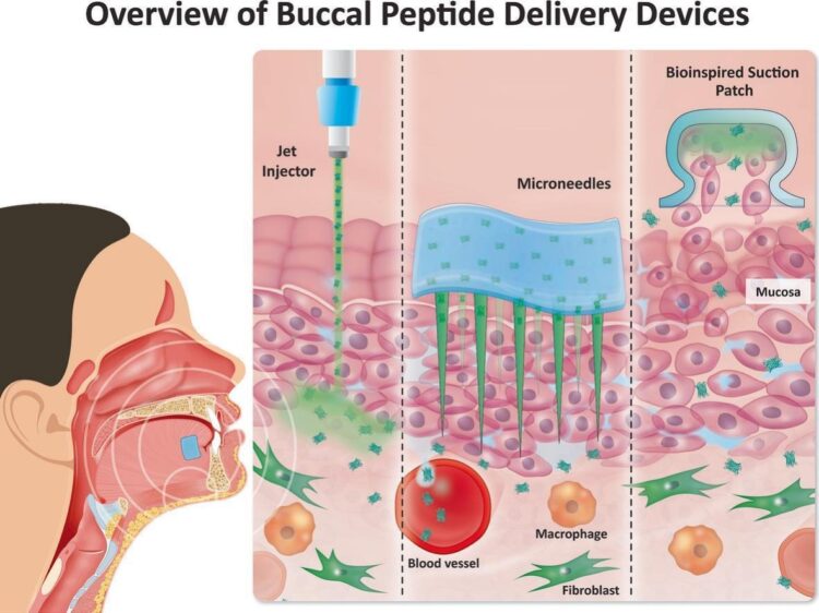 Devices to overcome the buccal mucosal barrier to administer therapeutic peptides