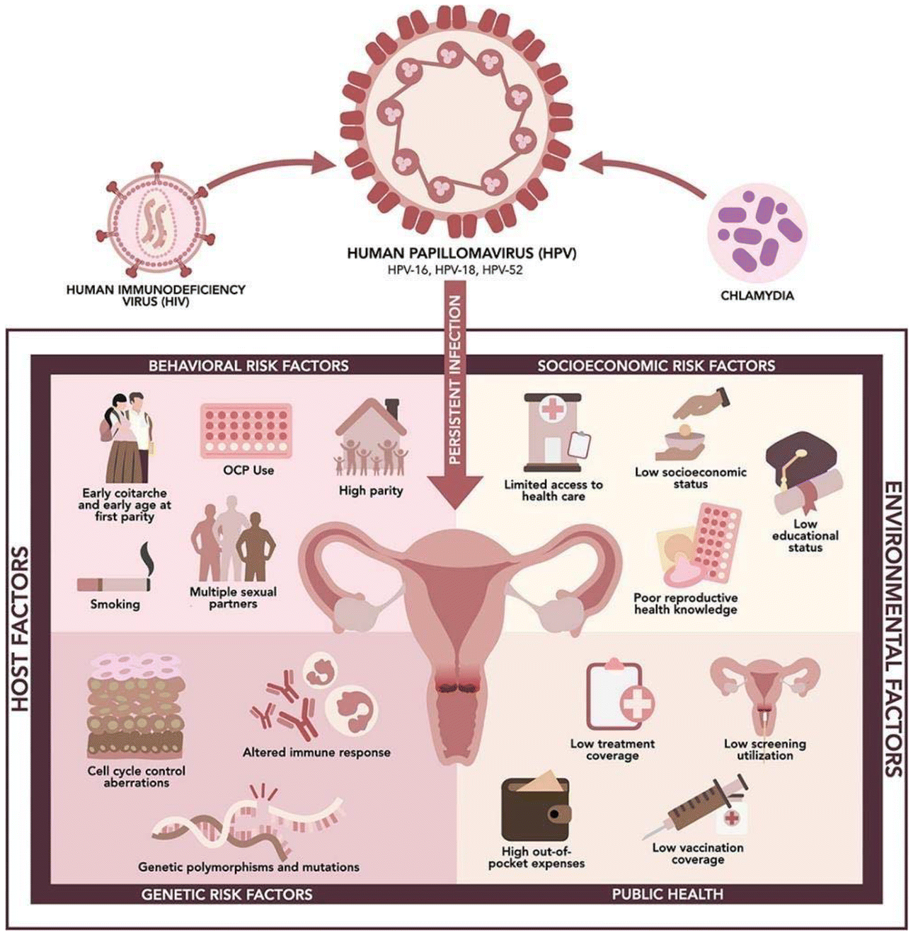 Solid lipid nanoparticles in cervical cancer
