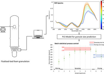 Predicting granule size via in-line NIR spectroscopy during fluidized bed foam granulation and drying