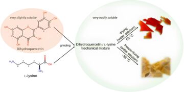 Co-Amorphous Systems Based on Dihydroquercetin and l-Lysine