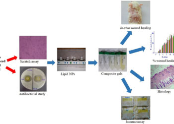Design and evaluation of Phospholipon® 90H nanoparticle-loaded composite gel for enhanced wound healing