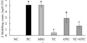Drinking Water Supplementation of trans-Cinnamaldehyde-Miglyol Microemulsions Reduces Multidrug-Resistant Salmonella Heidelberg in Turkey Poults and Augments the Antibacterial Effect of Oxytetracycline