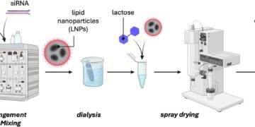 Understanding excipient interactions unlocks untapped potential of RNA-lipid nanoparticles in dry powder formulations for local pulmonary delivery