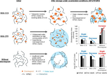 Impact of disintegrants on the structure and disintegration of hydroxypropyl methylcellulose-based amorphous solid dispersion tablets