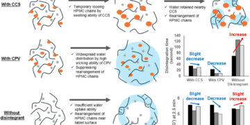 Impact of disintegrants on the structure and disintegration of hydroxypropyl methylcellulose-based amorphous solid dispersion tablets