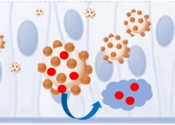 Drug Polymer Nanoparticles