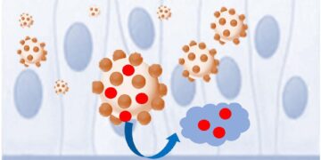 Drug Polymer Nanoparticles