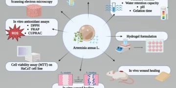 Preparation and Investigation of Artemisia annua L.-Loaded Alginate Hydrogels with Excipients
