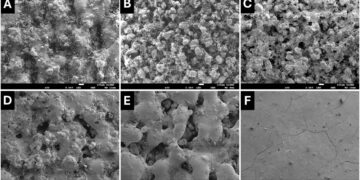 Eco-Friendly Selective Laser Sintered (SLS) 3D Printing of Tablets Using Starch 1500® as a Standalone Green Excipient