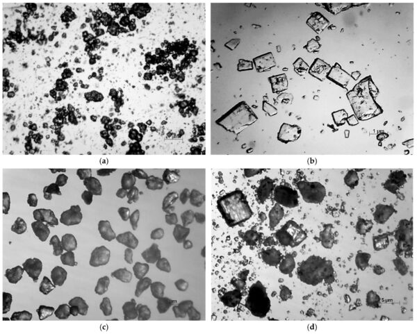 Compressed Medicated Chewing Gum with Lysozyme Hydrochloride and Ascorbic Acid for Xerostomia Relief and Oral Health Support