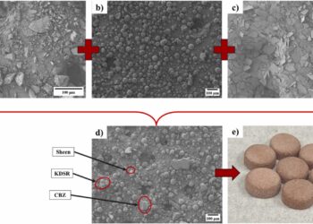 Effects of excipient particle size range on the performance of selective laser sintered pharmaceutical printlets
