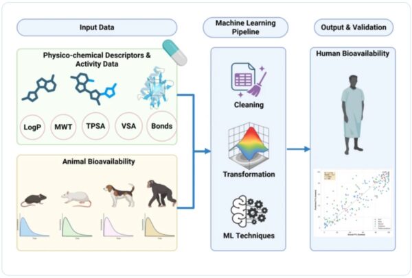 Animal versus human oral drug bioavailability