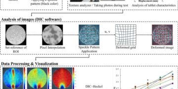 Effects of excipient characteristics and compact geometry on localized strain propagation in powder compacts