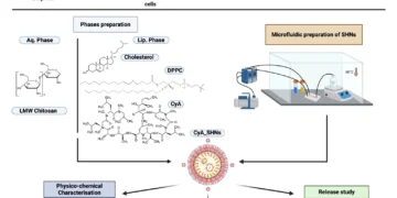 Microfluidic Production and Characterisation of Cyclosporine