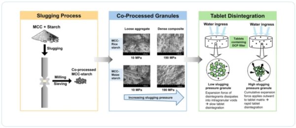 Slugging-induced Mechanistic Coupling of Microcrystalline Cellulose-starch Disintegrants for Enhanced Tablet Disintegration