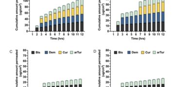 Enhanced in vitro permeability of curcuminoids and ar-turmerone using microemulsions of menthol-based hydrophobic deep eutectic solvents