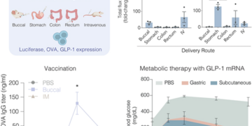 Targeted Gastrointestinal Delivery of mRNA Lipid Nanoparticles Enables Systemic Vaccination and Glucagon-like Peptide-1 Metabolic Therapy